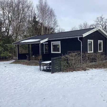 5 Person In Rødby